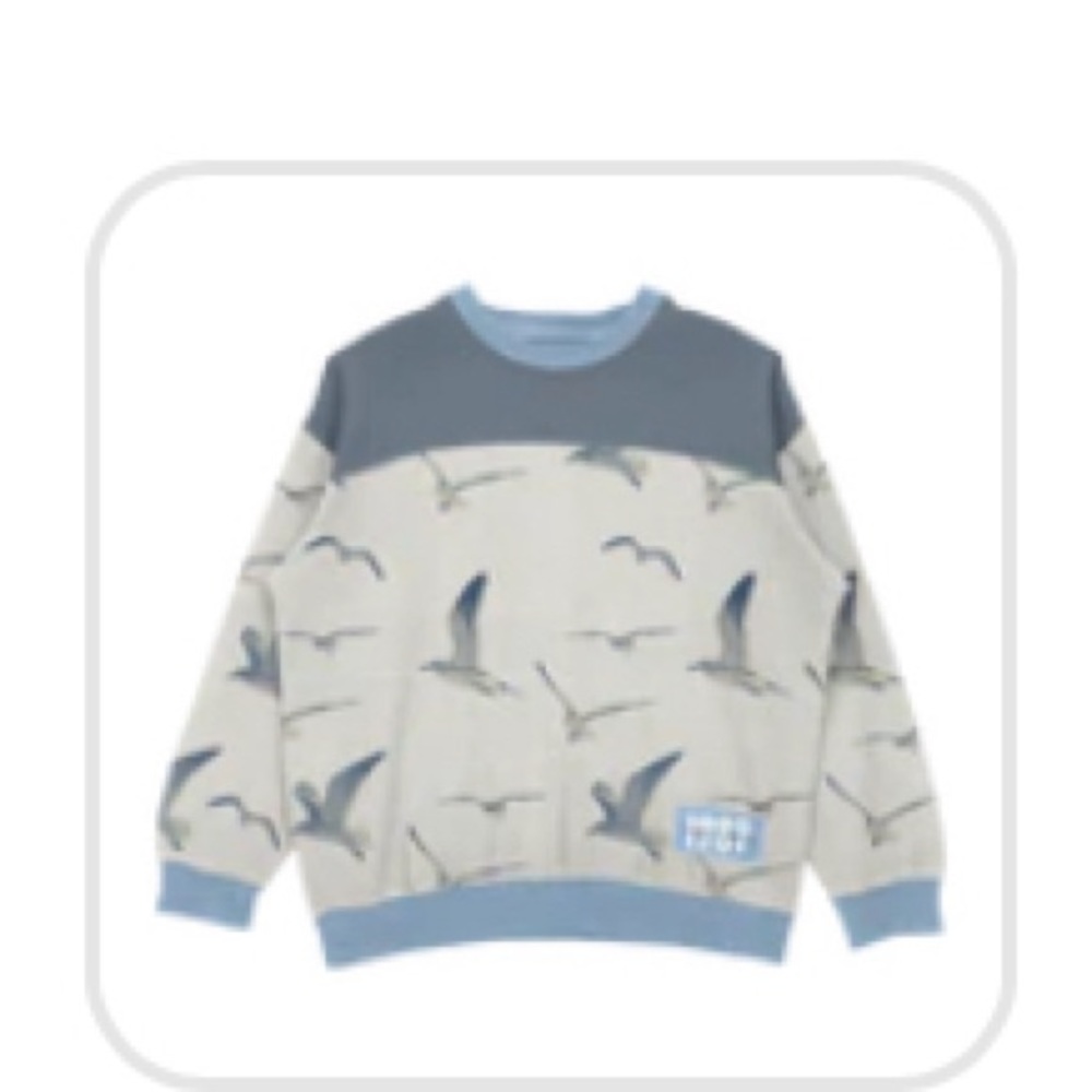 Taylor Swift 1989 seagull crewneck. XL (never been worn)